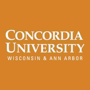 Online Master #39 s in Social Work