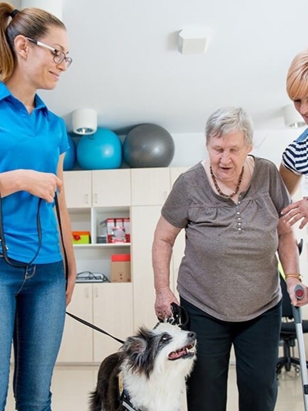 Animal Assisted Therapy Blog 600x800